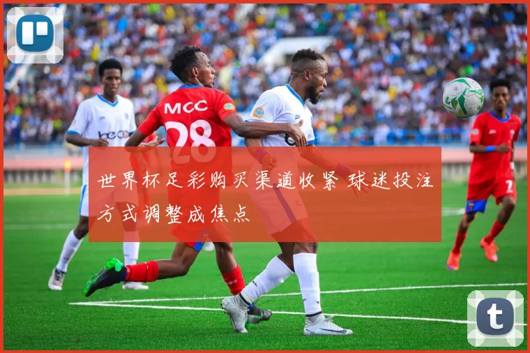 世界杯足彩购买渠道收紧 球迷投注方式调整成焦点