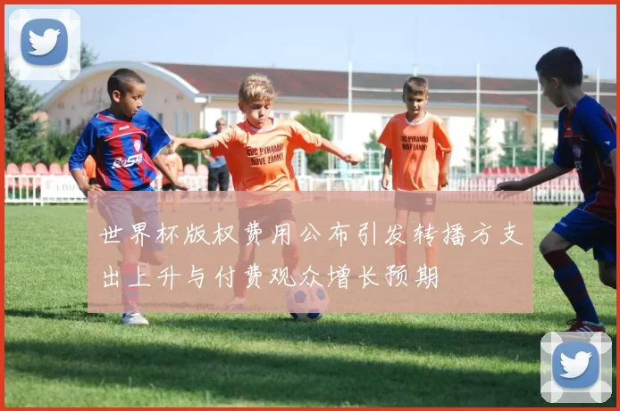 世界杯版权费用公布引发转播方支出上升与付费观众增长预期