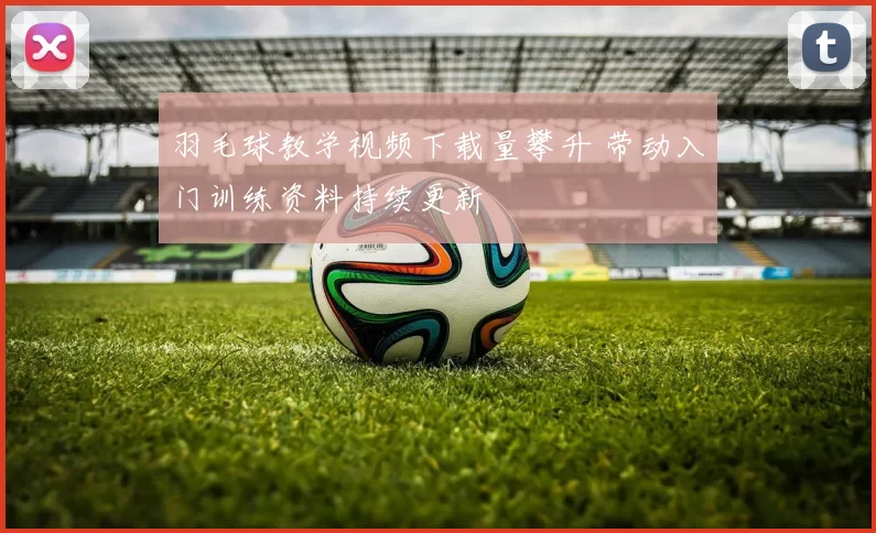 羽毛球教学视频下载量攀升 带动入门训练资料持续更新