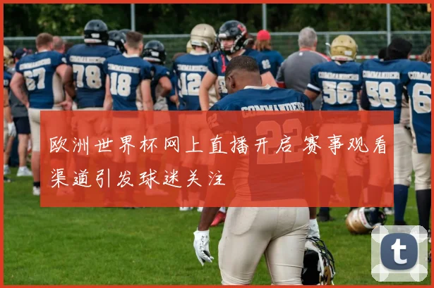 欧洲世界杯网上直播开启 赛事观看渠道引发球迷关注