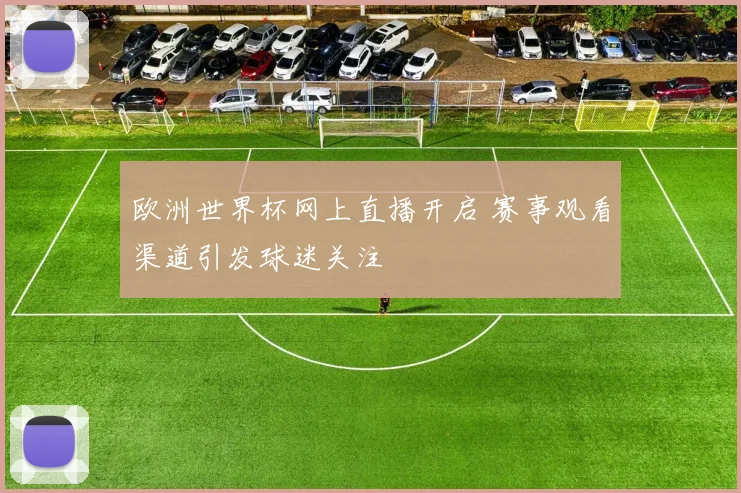 欧洲世界杯网上直播开启 赛事观看渠道引发球迷关注